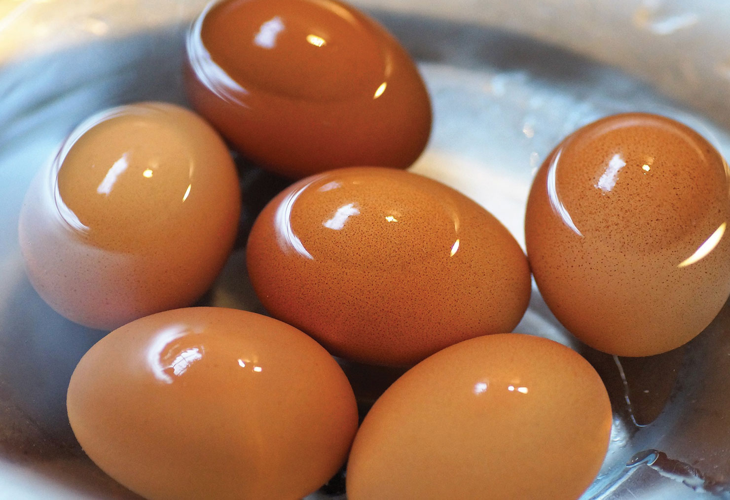 recipe boil egg